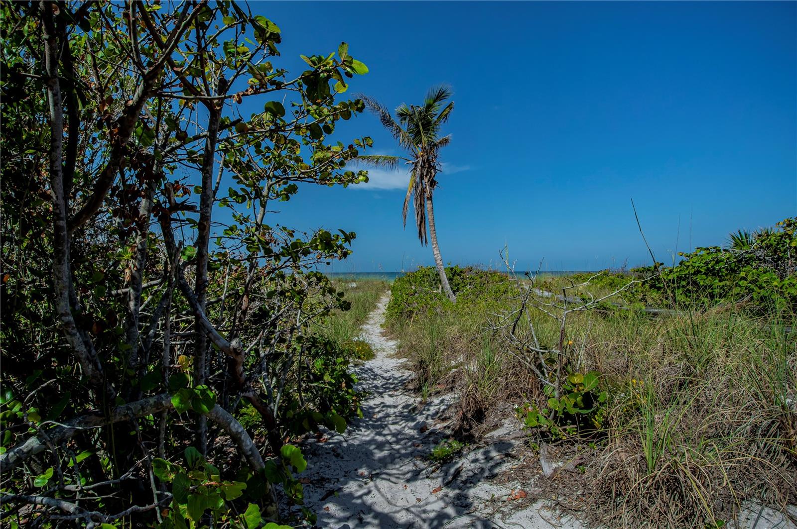 Image 17 of 25 For 8864 Bay Street