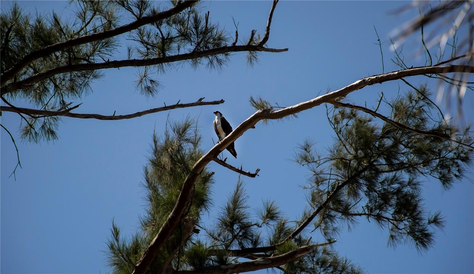 Image 24 of 25 For 8864 Bay Street