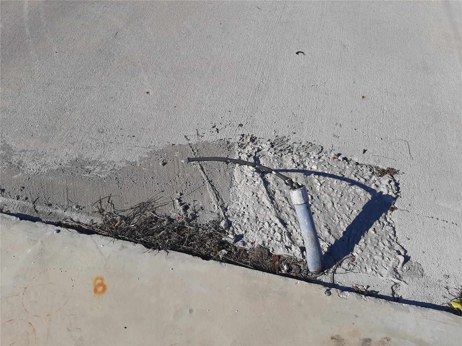 Image 4 of 14 For 1347 Flamingo Drive