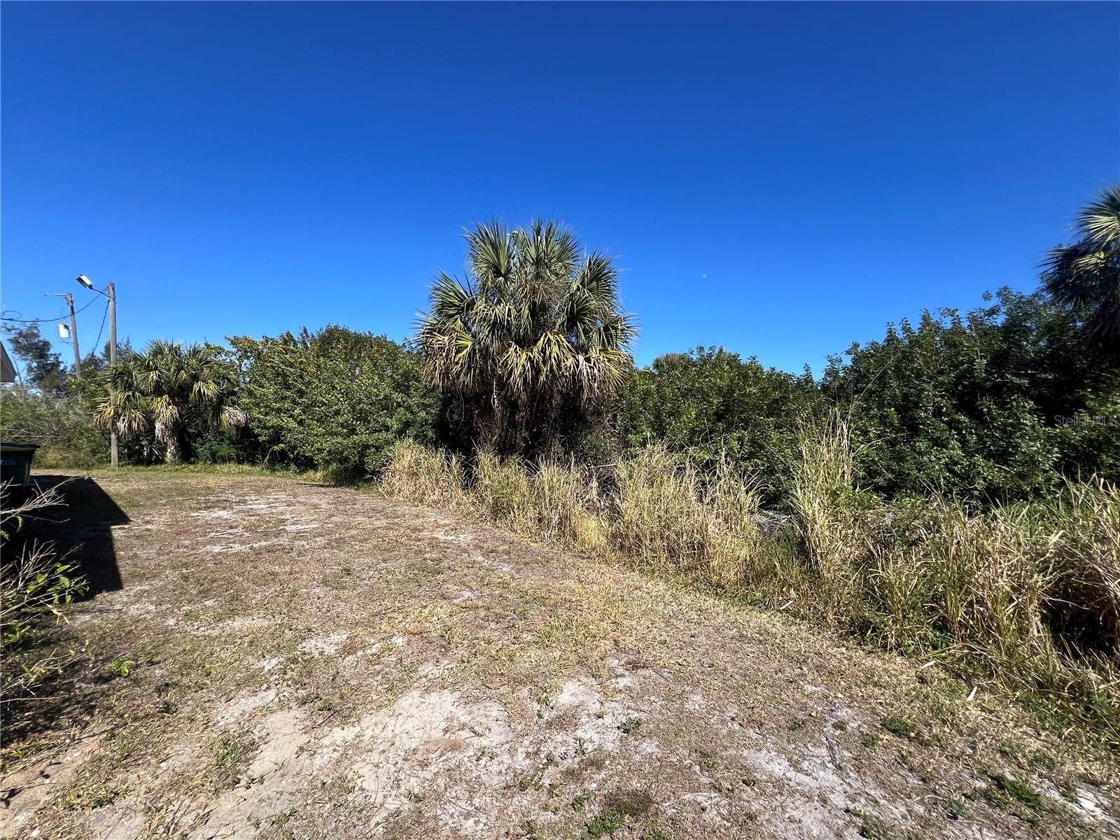 Image 48 of 55 For 2615 Myrtle Avenue