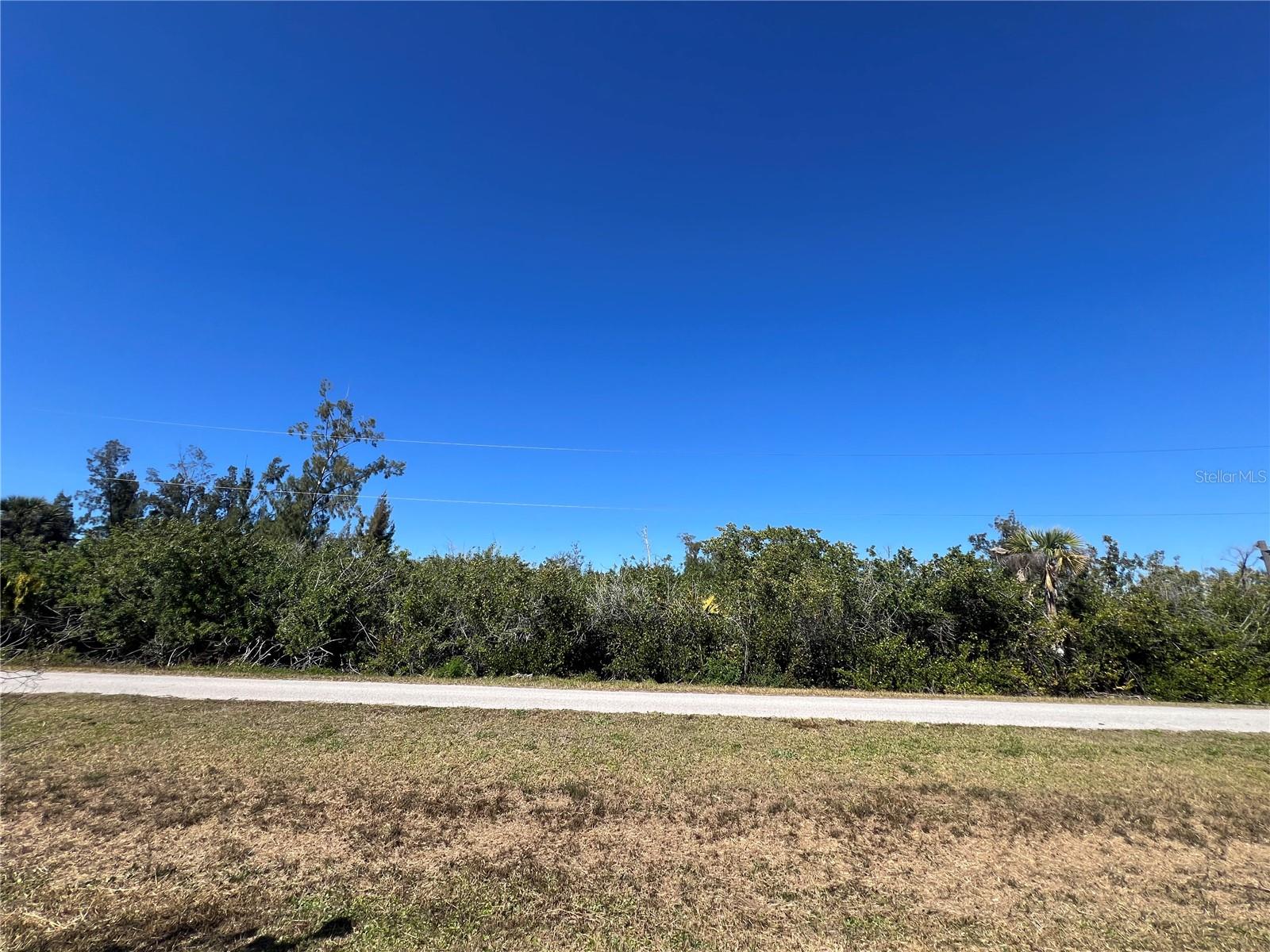 Image 53 of 55 For 2615 Myrtle Avenue