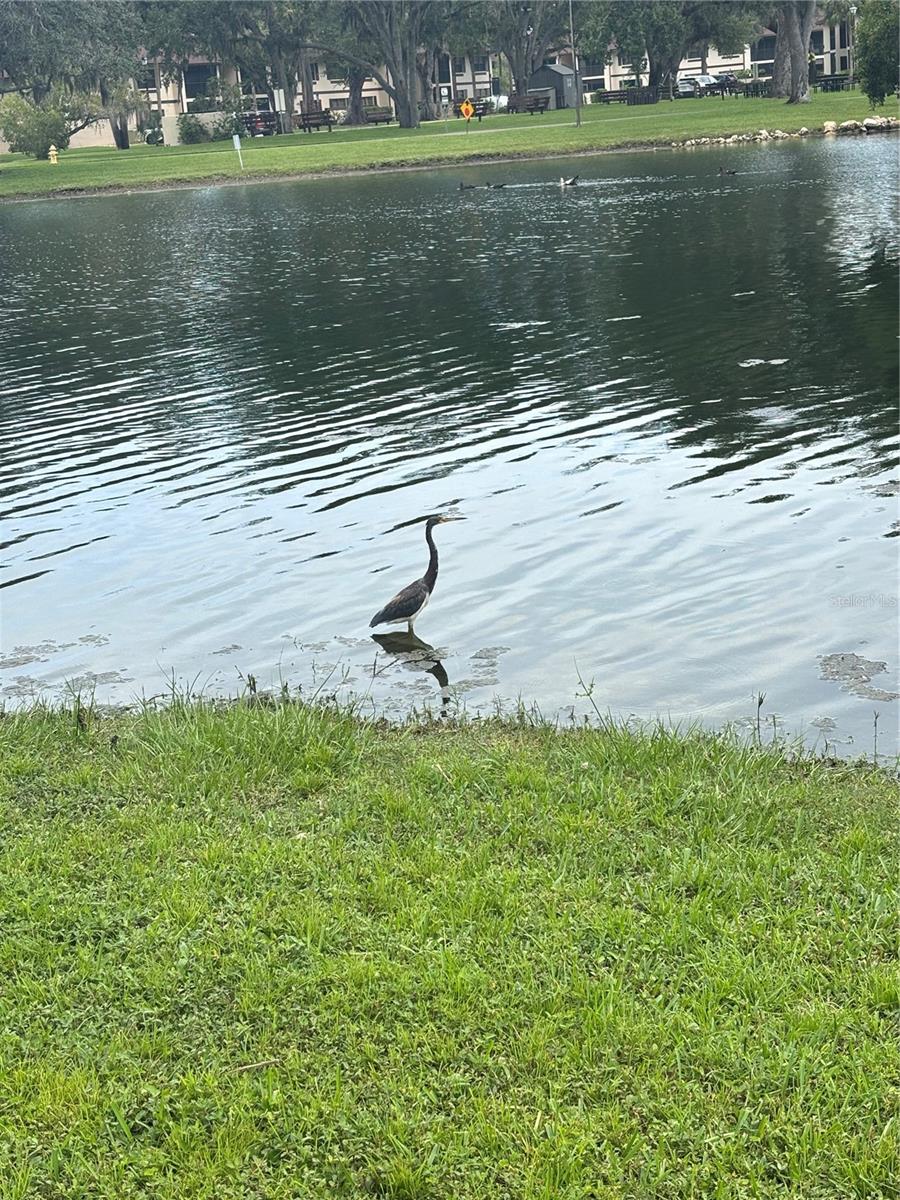 Image 20 of 20 For 19505 Quesada Avenue Cc205