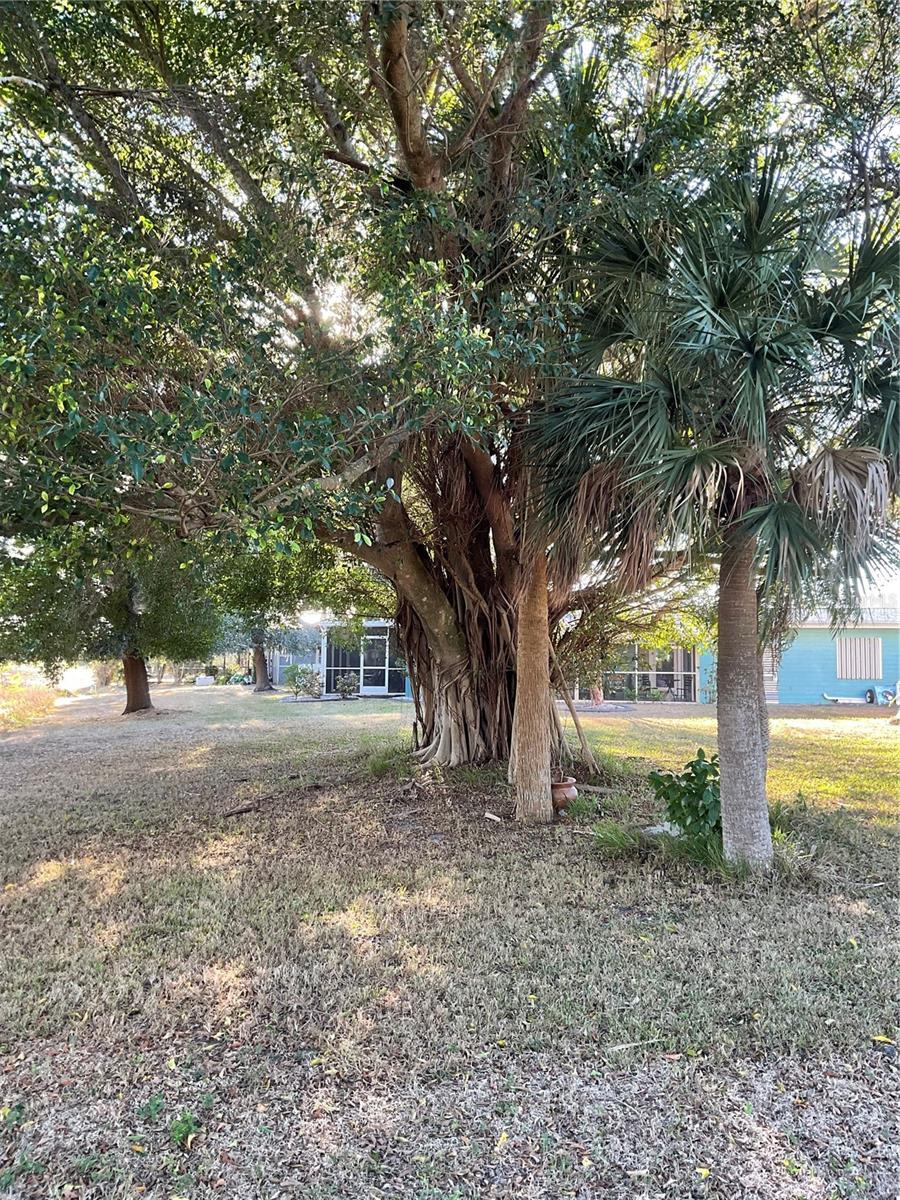 Image 24 of 30 For 2356 Conway Boulevard