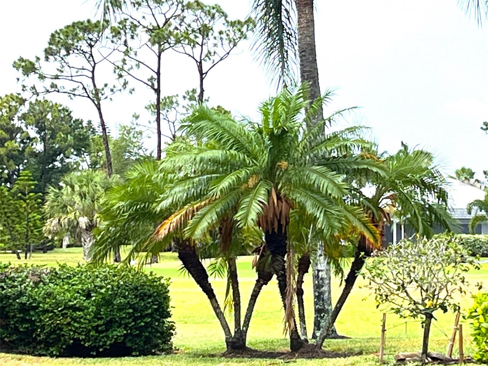 Image 38 of 41 For 4041 King Tarpon Drive