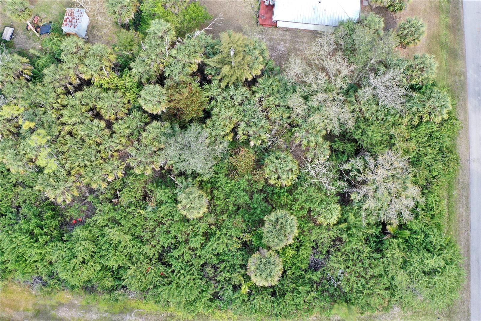 Image 10 of 12 For 3504 Sleepy Hollow Lane