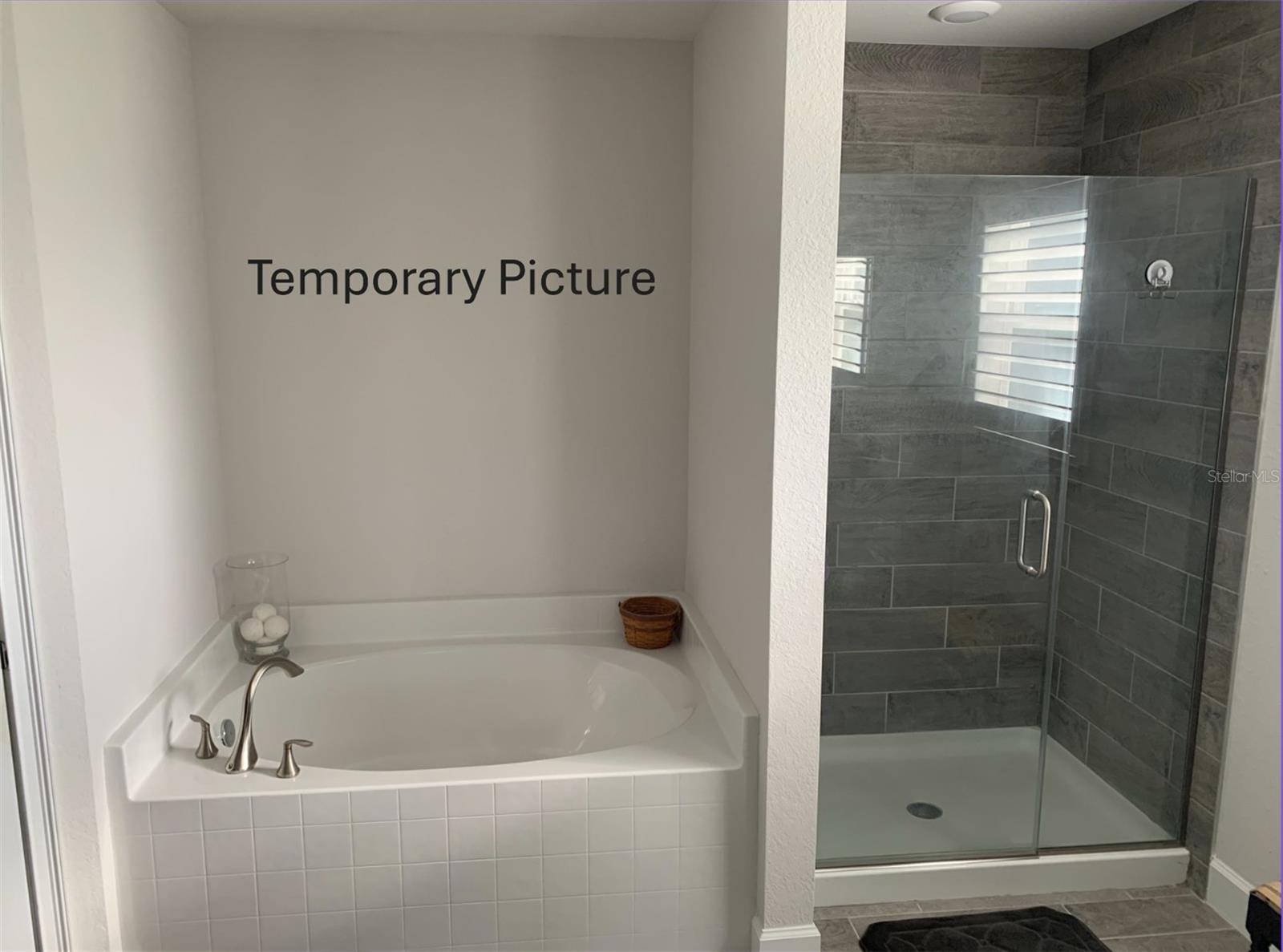 Image 8 of 9 For 26069 Parana Drive