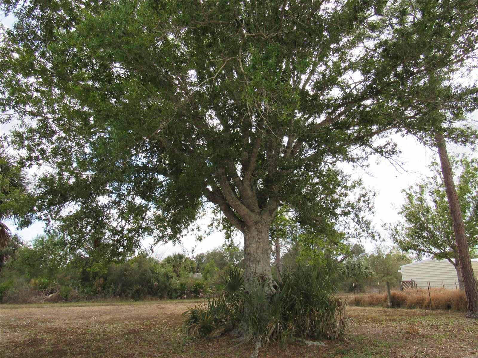 Image 57 of 59 For 50544 Bermont Road