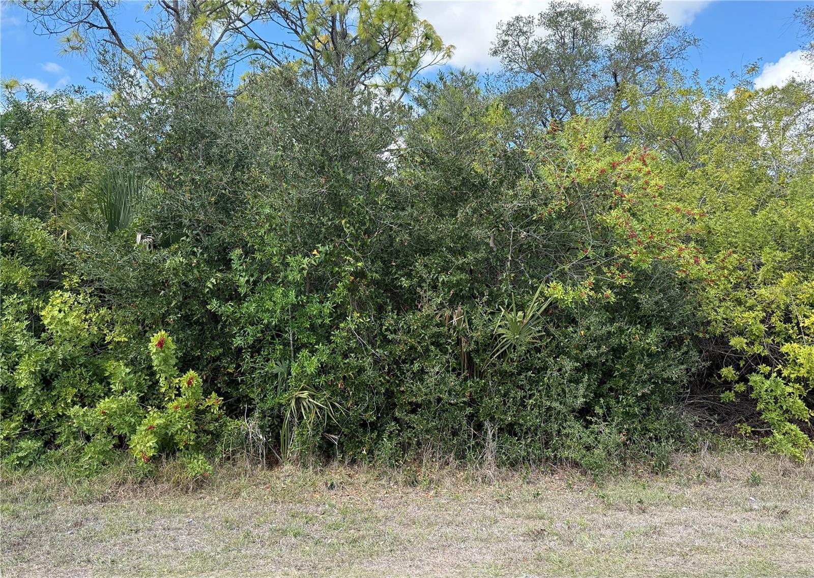 Details for 33 Cheshire Street, PORT CHARLOTTE, FL 33953