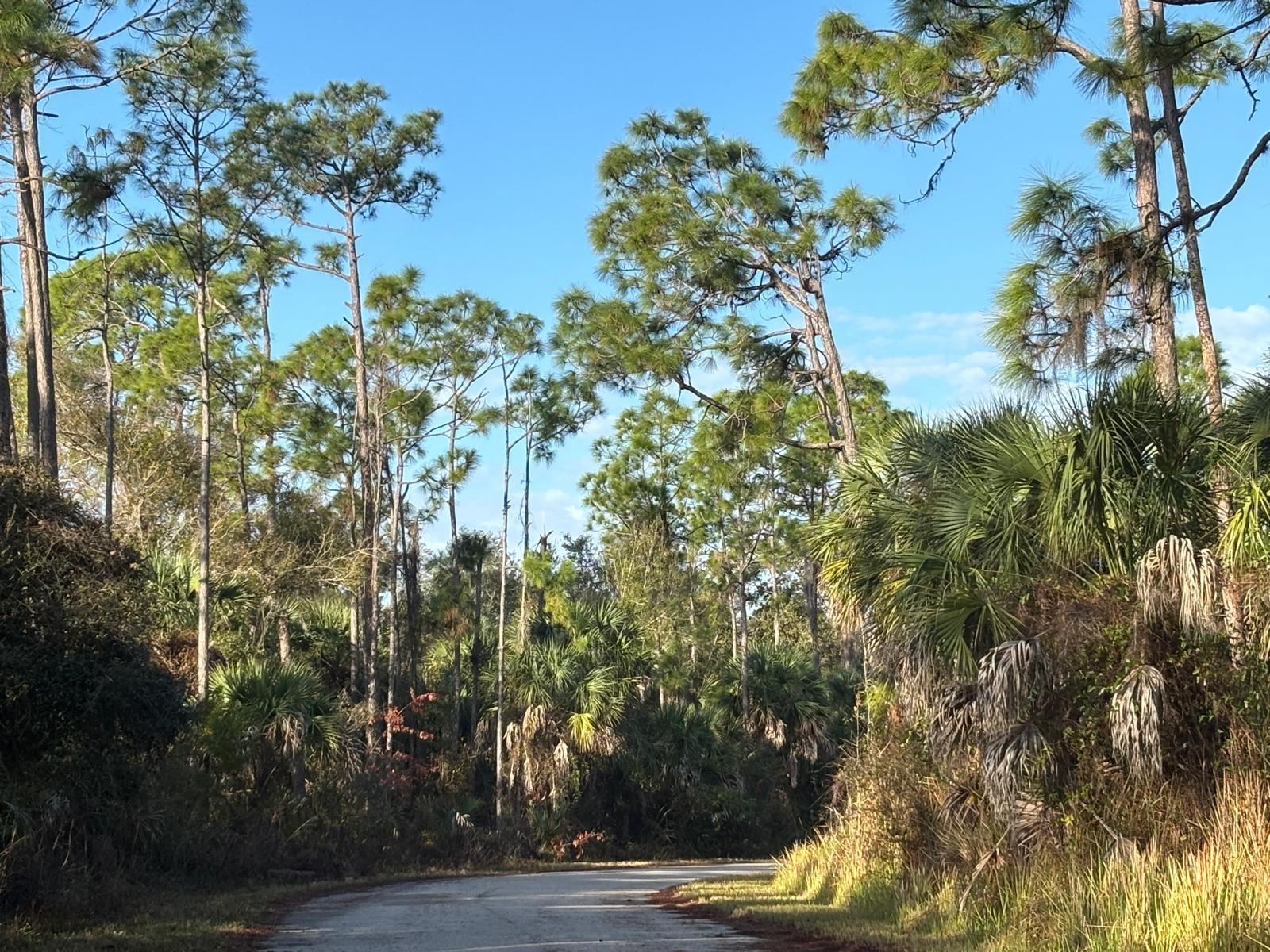 Image 10 of 12 For Bismarck Road