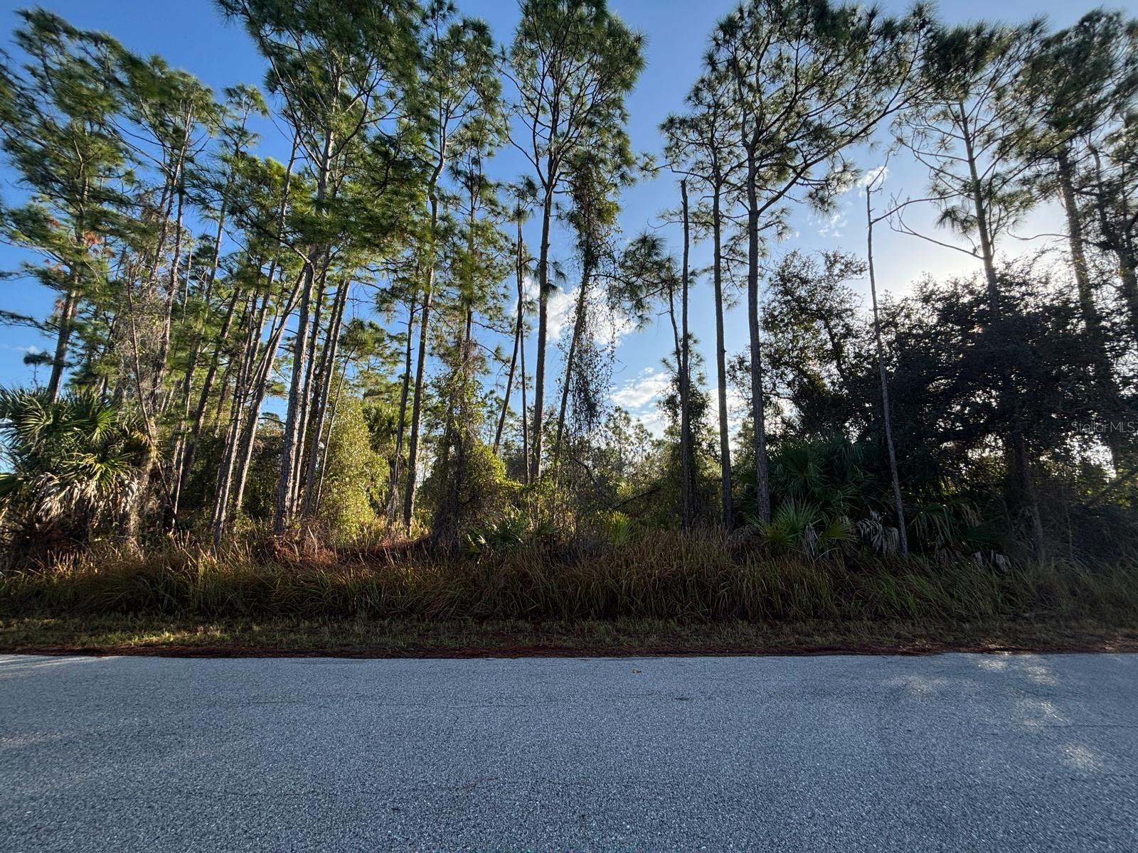 Image 11 of 12 For Bismarck Road