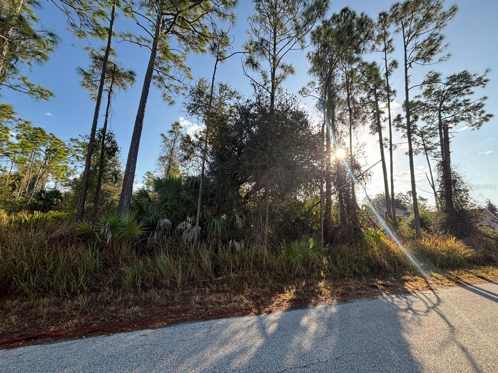 Image 5 of 12 For Bismarck Road