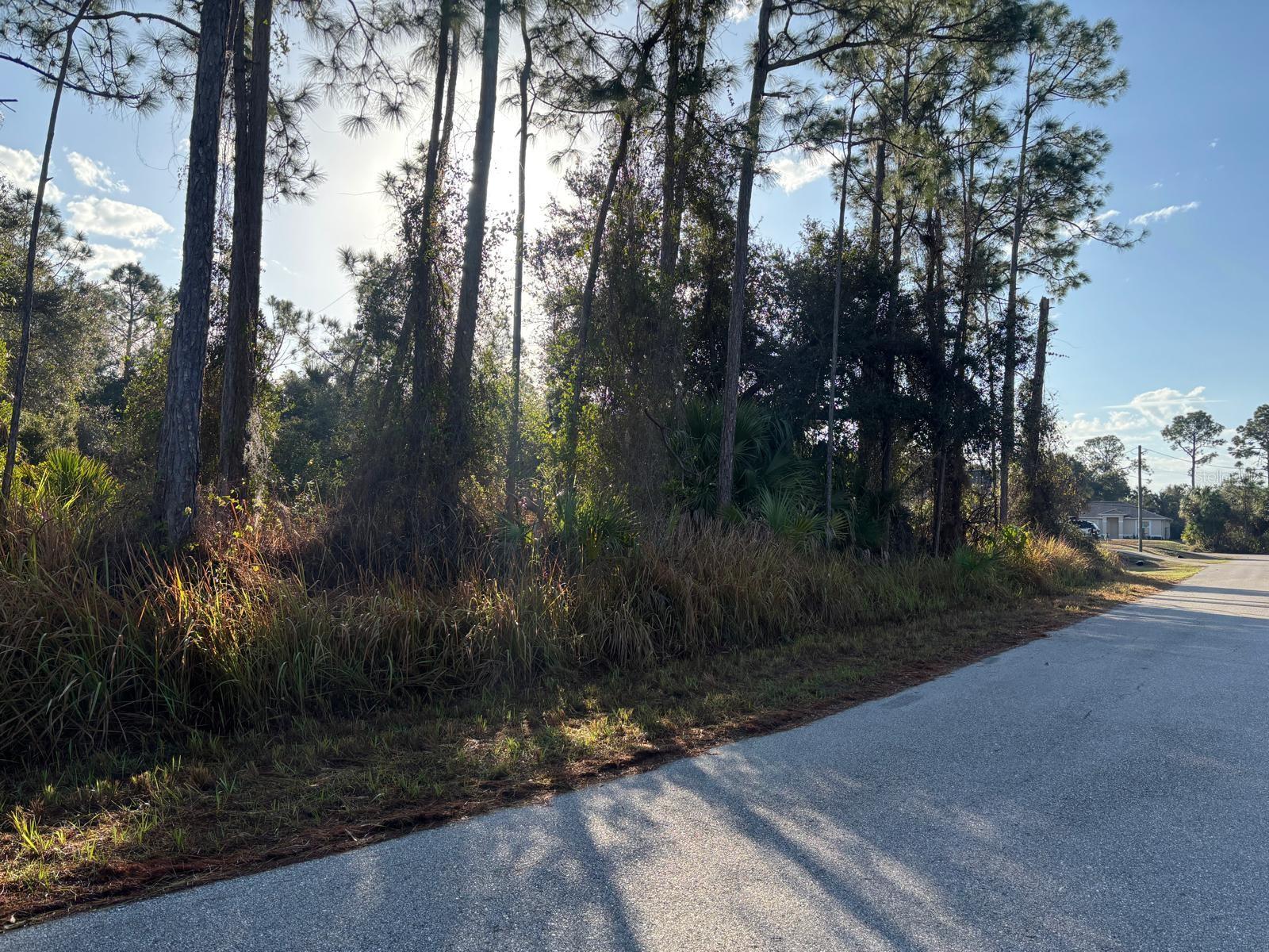 Image 8 of 12 For Bismarck Road