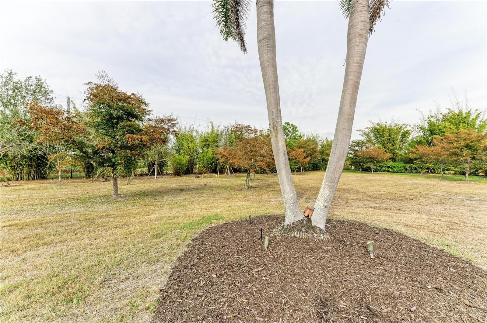 Image 57 of 72 For 5348 Palangos Drive