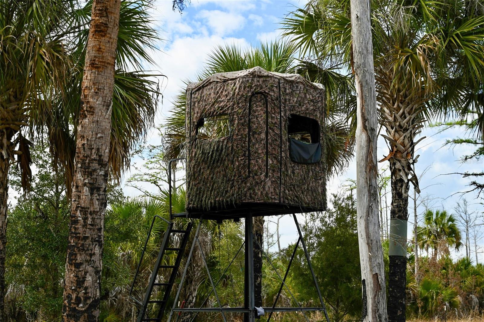 Image 10 of 39 For Black Burn Road