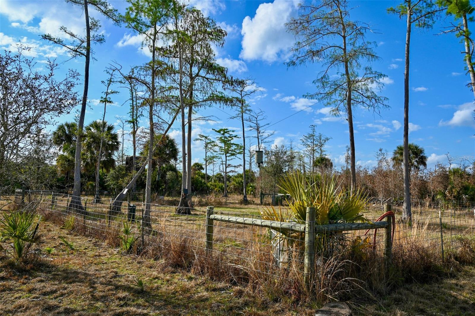 Image 11 of 39 For Black Burn Road