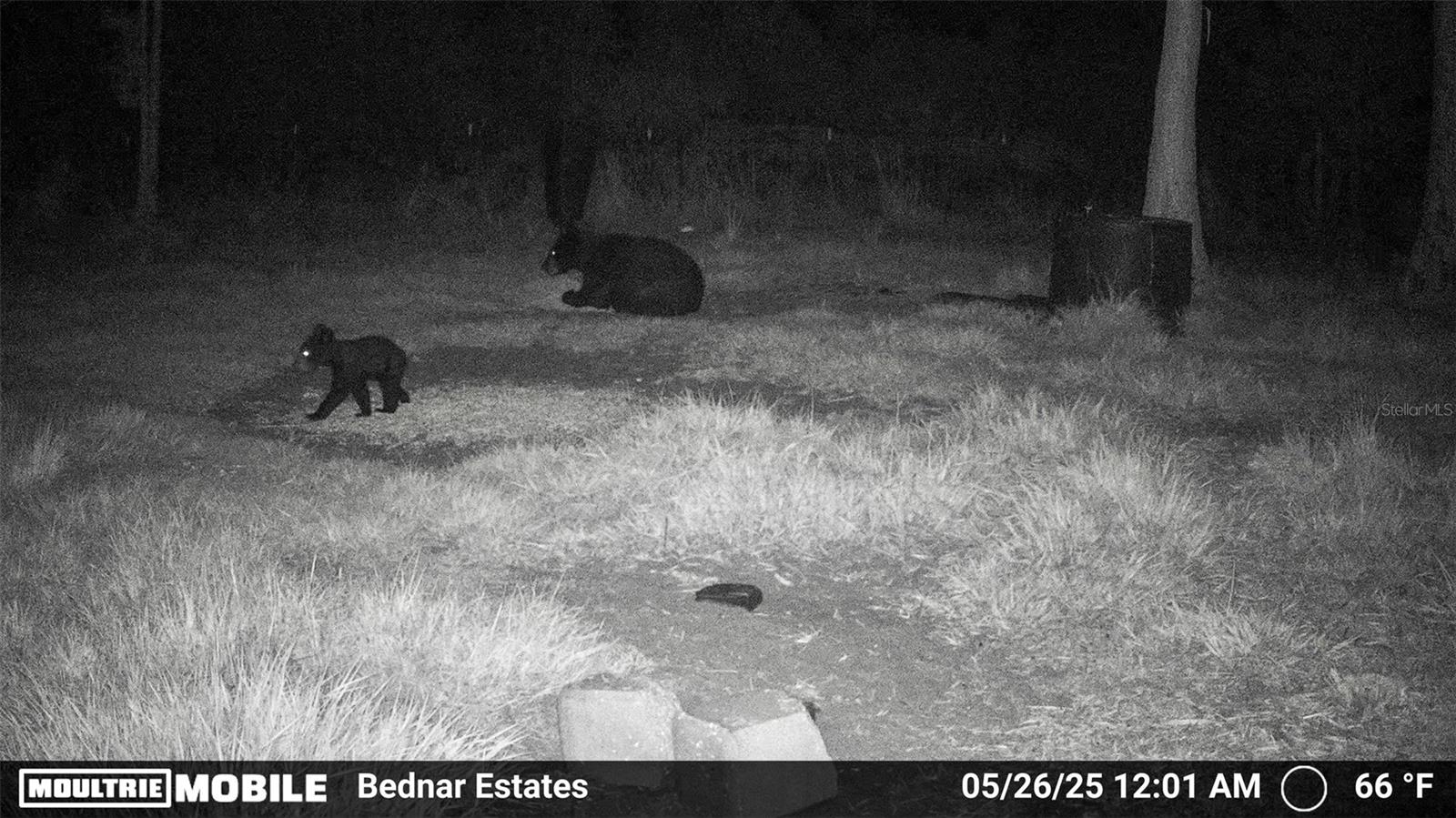 Image 12 of 39 For Black Burn Road