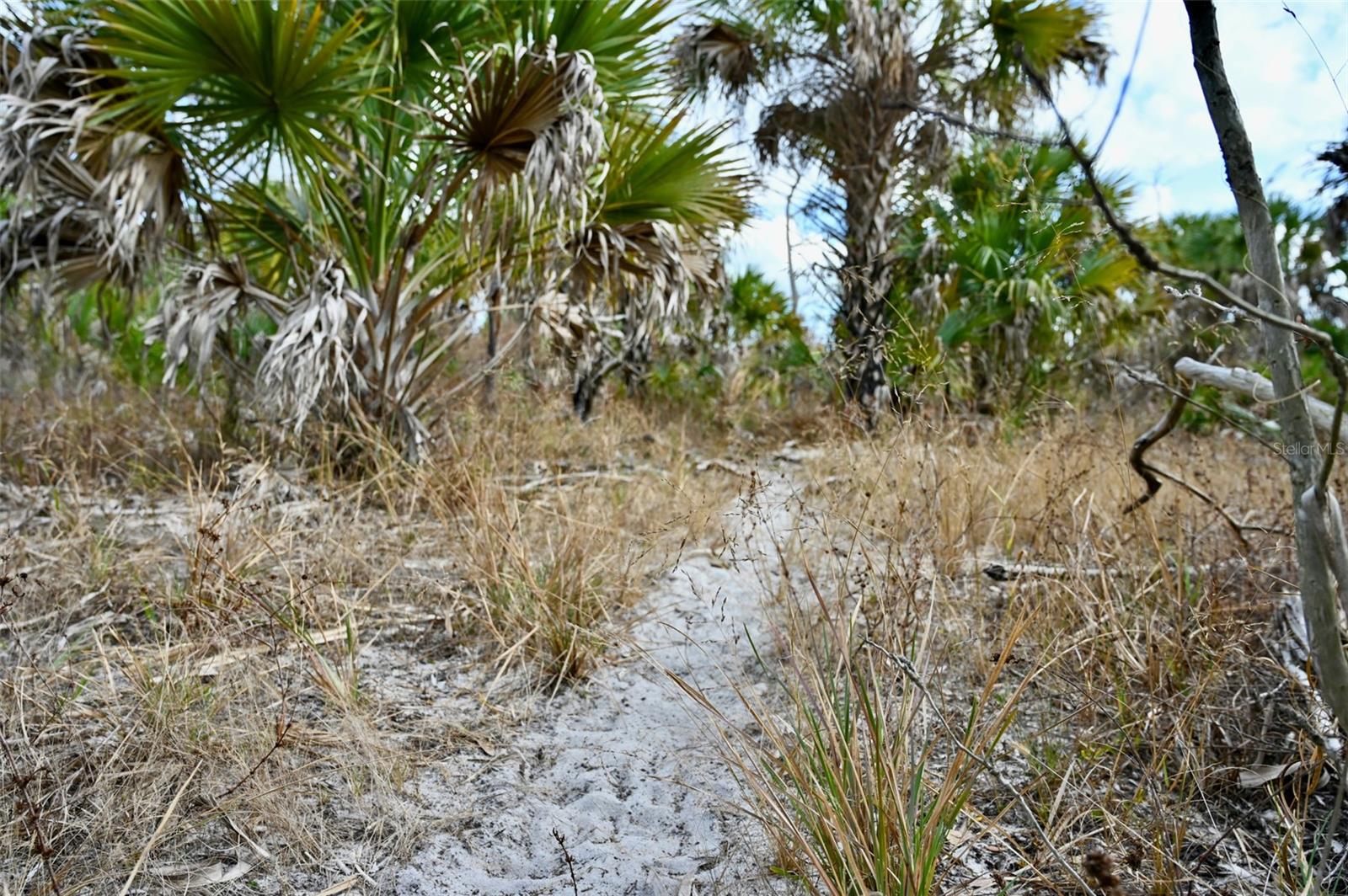 Image 13 of 39 For Black Burn Road