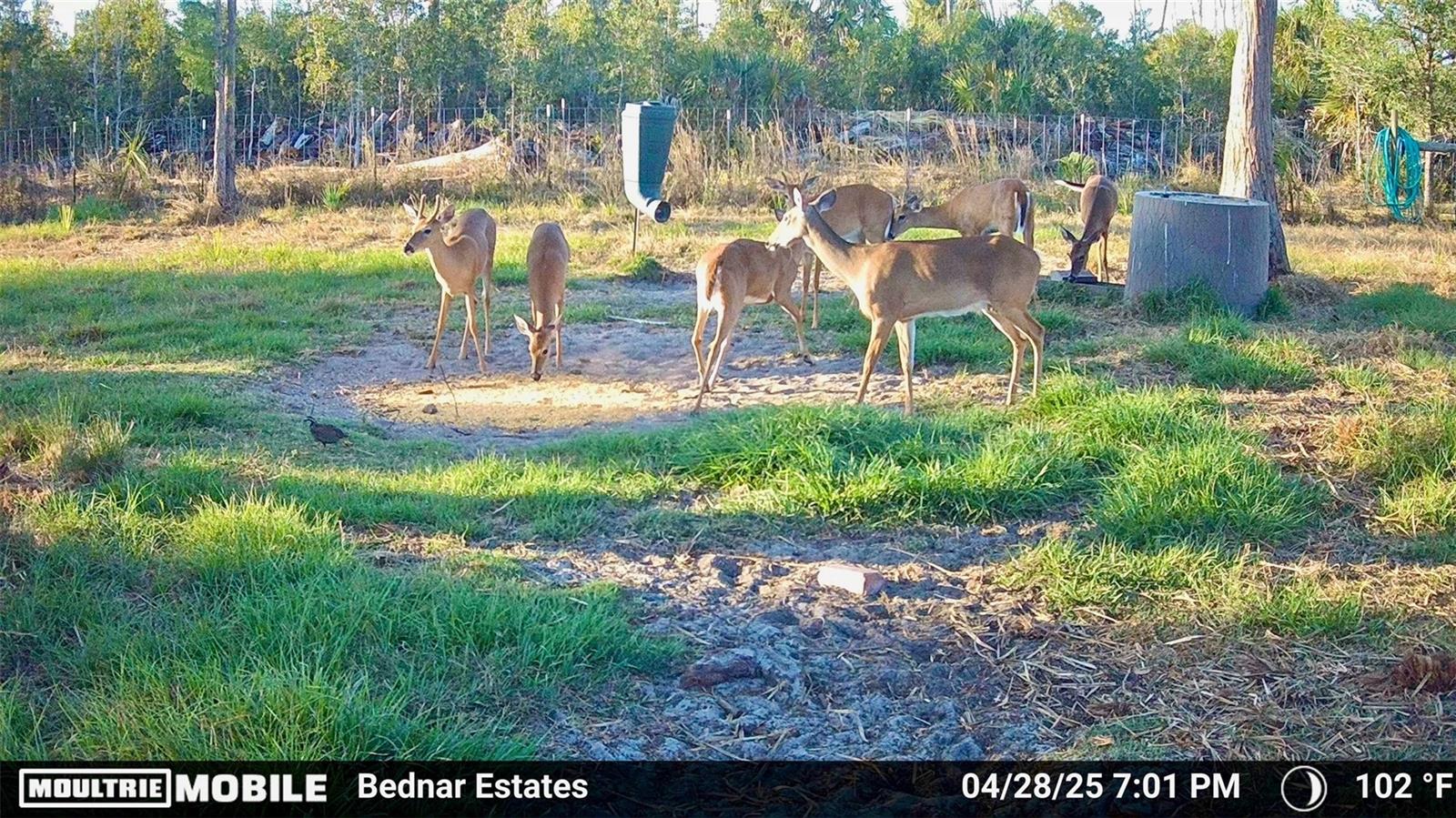 Image 14 of 39 For Black Burn Road