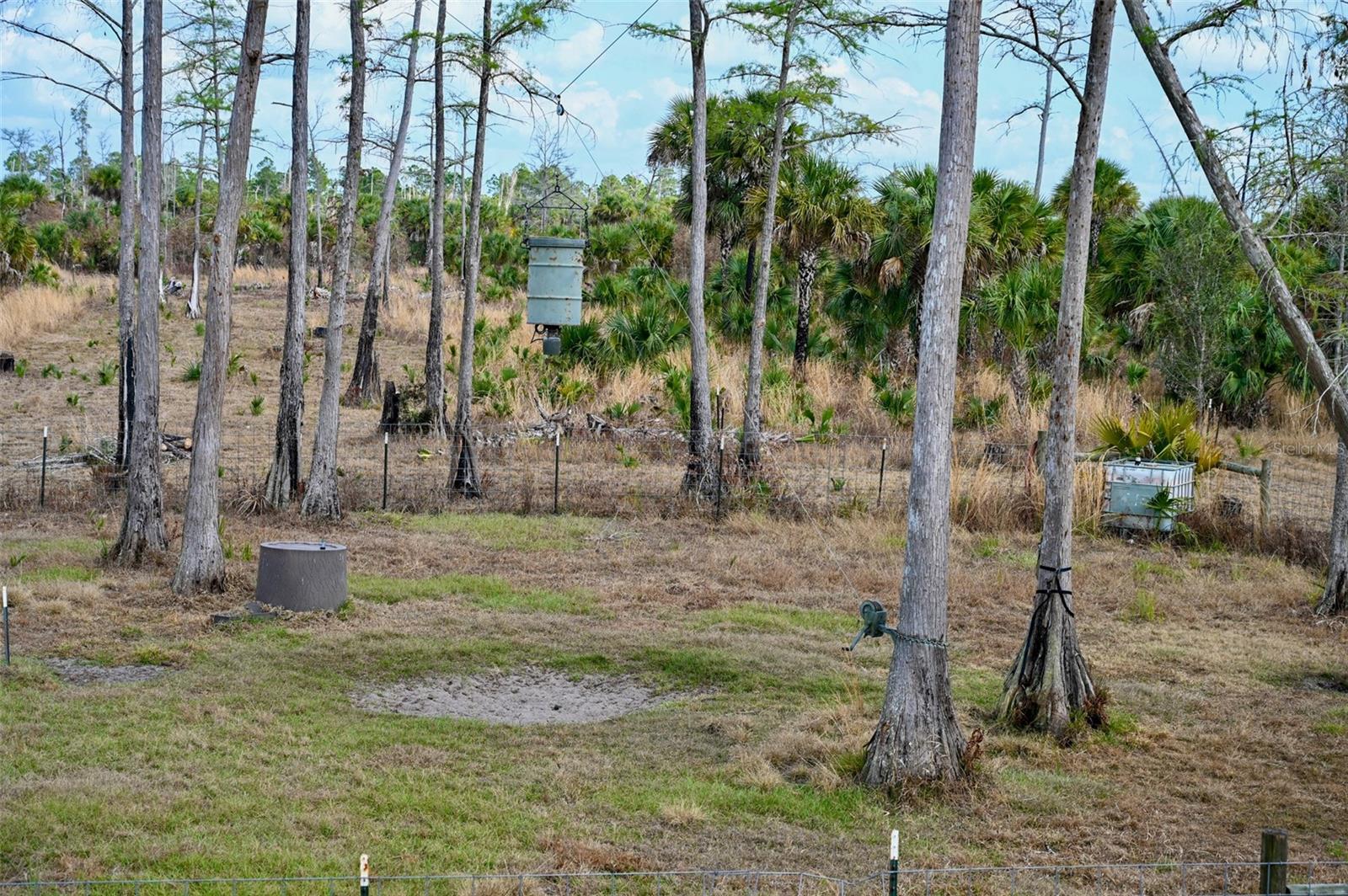 Image 15 of 39 For Black Burn Road