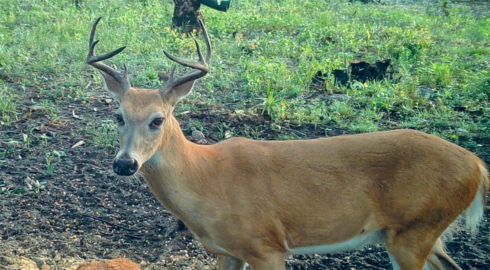 Image 16 of 39 For Black Burn Road