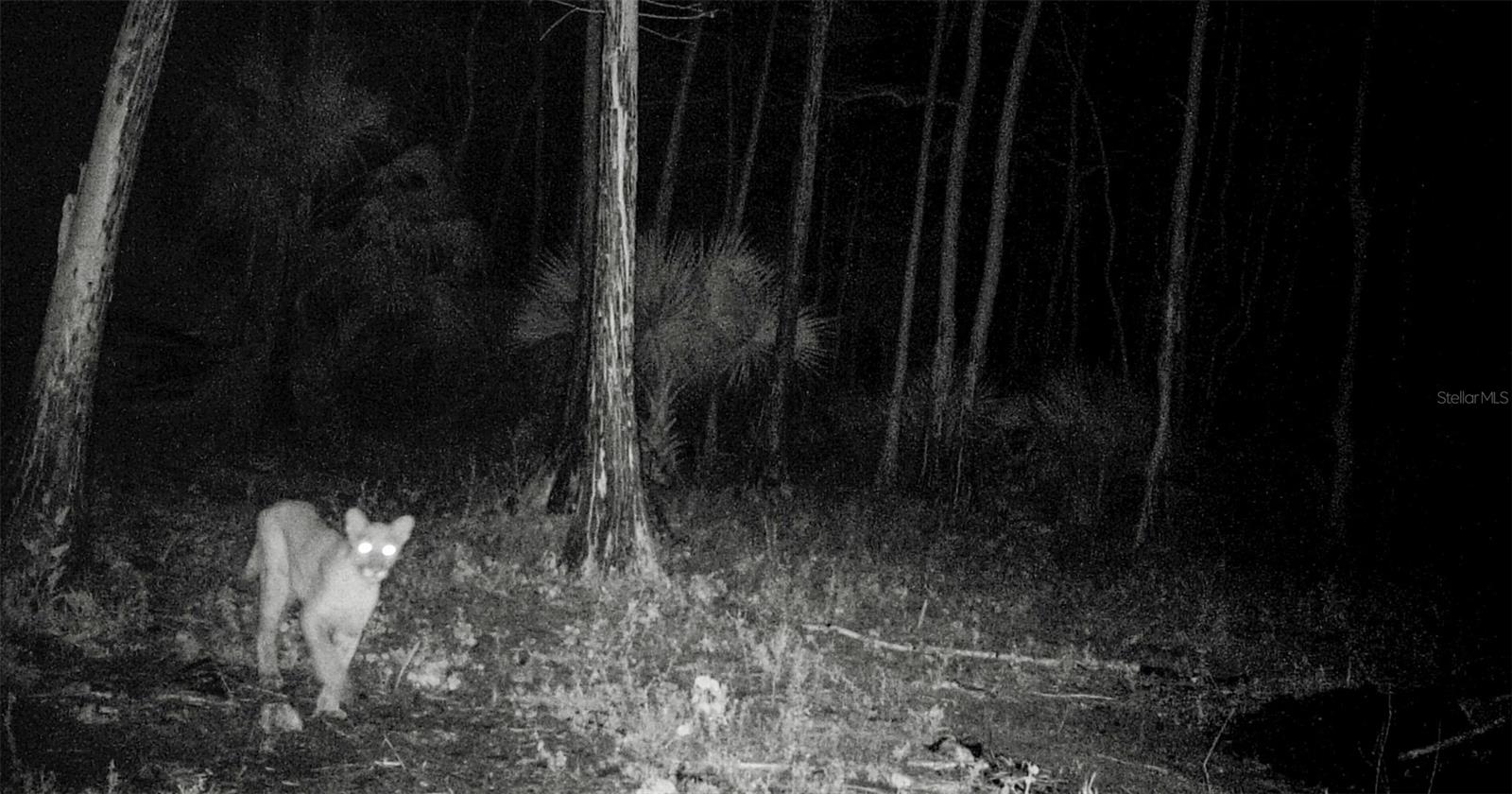 Image 18 of 39 For Black Burn Road