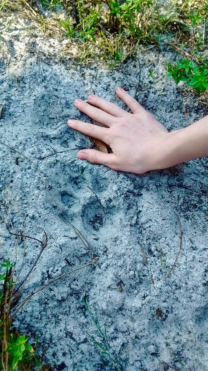 Image 19 of 39 For Black Burn Road