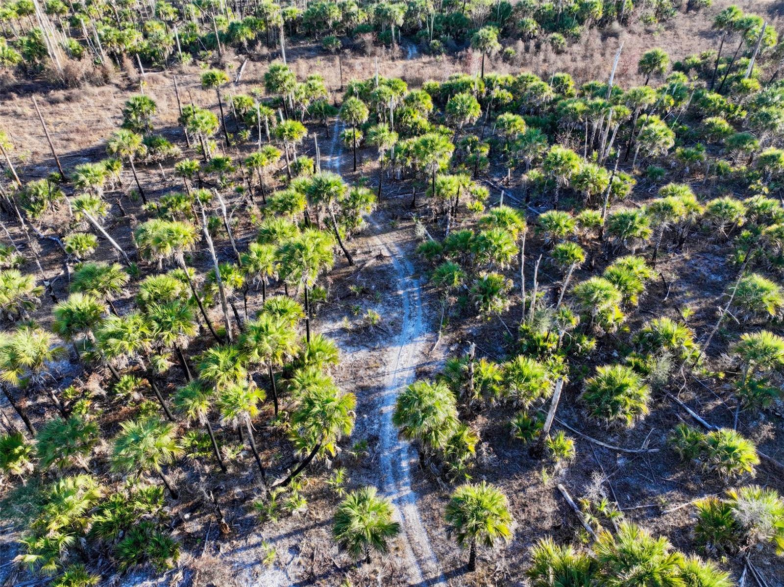 Image 2 of 39 For Black Burn Road