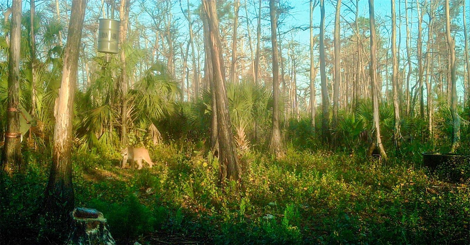 Image 20 of 39 For Black Burn Road