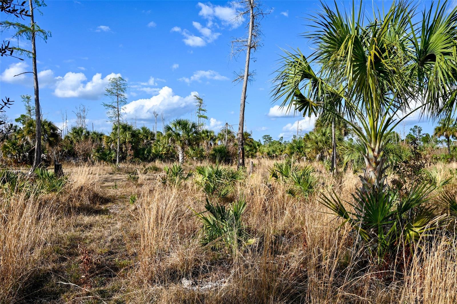 Image 21 of 39 For Black Burn Road