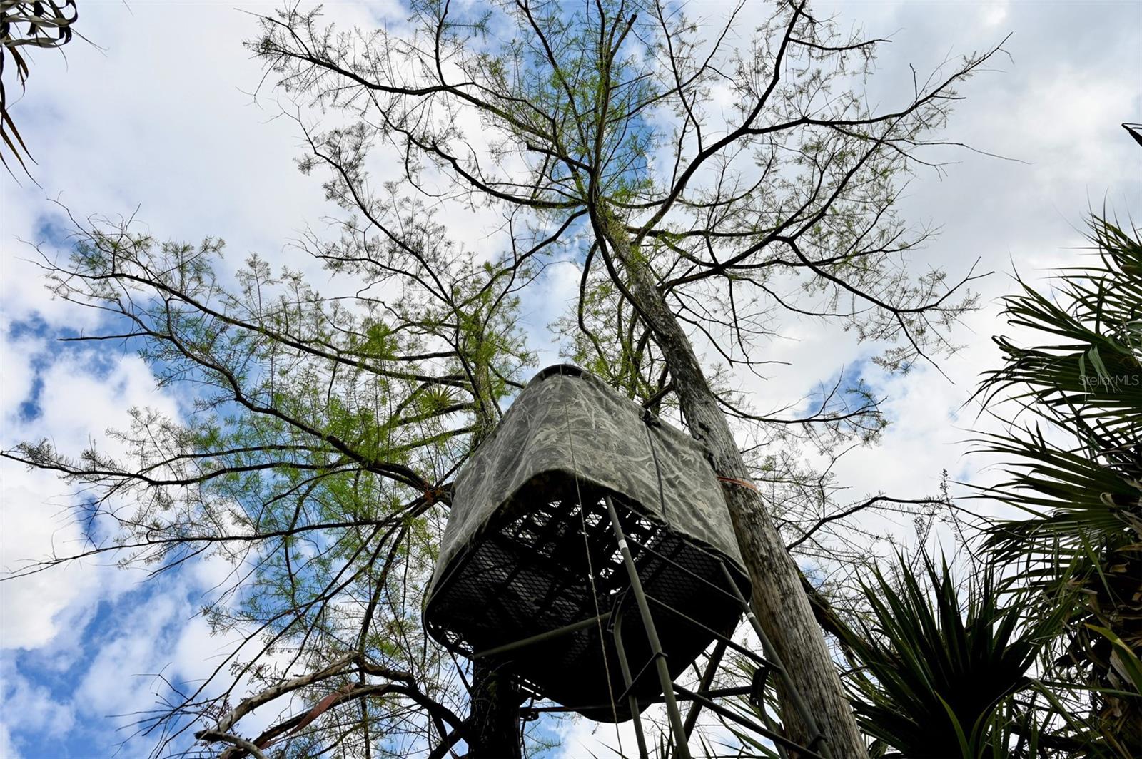 Image 22 of 39 For Black Burn Road