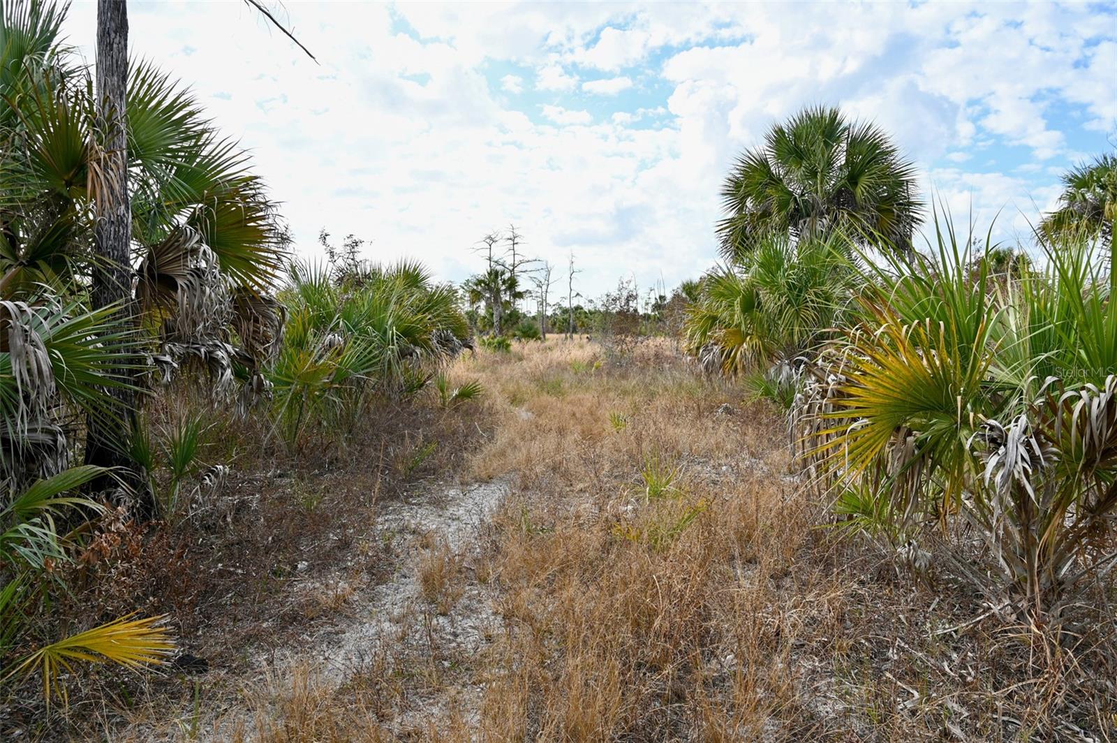 Image 23 of 39 For Black Burn Road