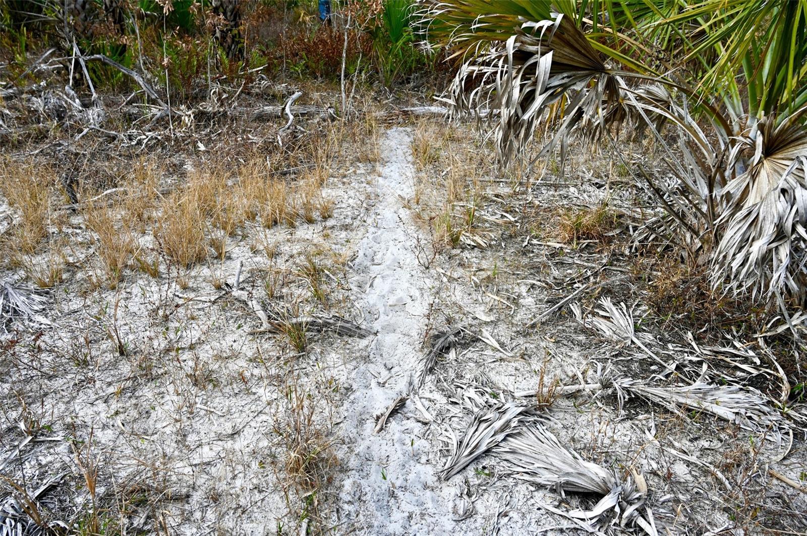 Image 24 of 39 For Black Burn Road