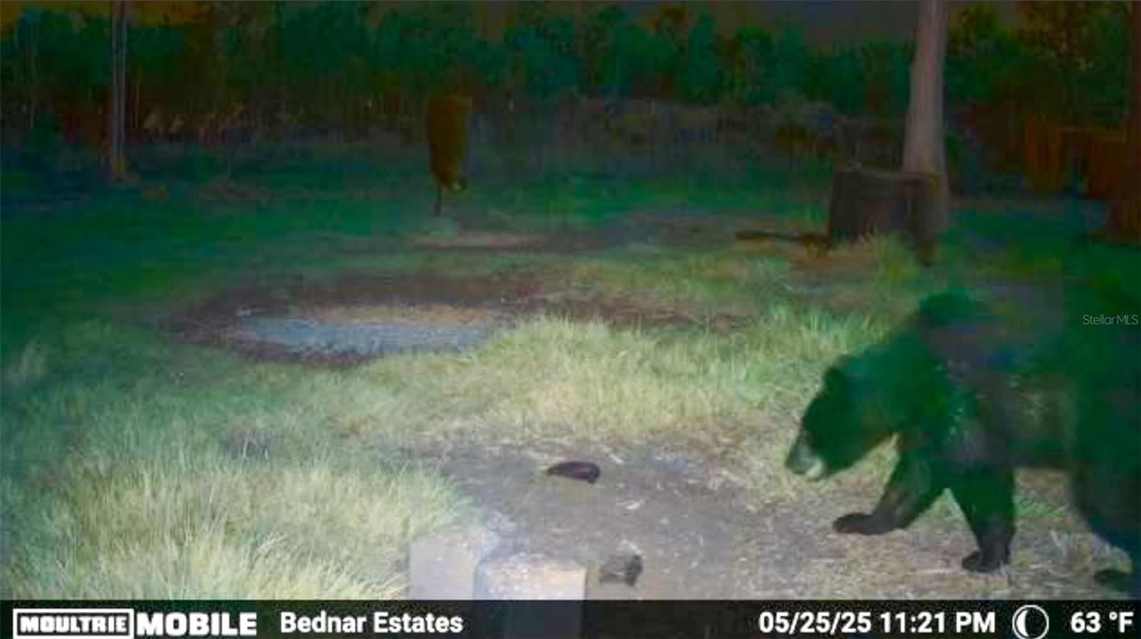 Image 26 of 39 For Black Burn Road