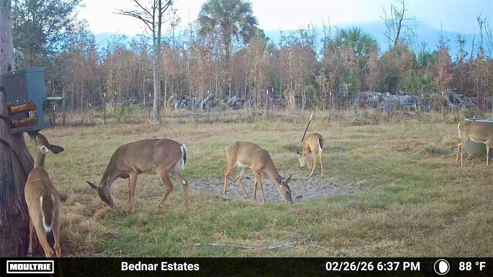 Image 28 of 39 For Black Burn Road