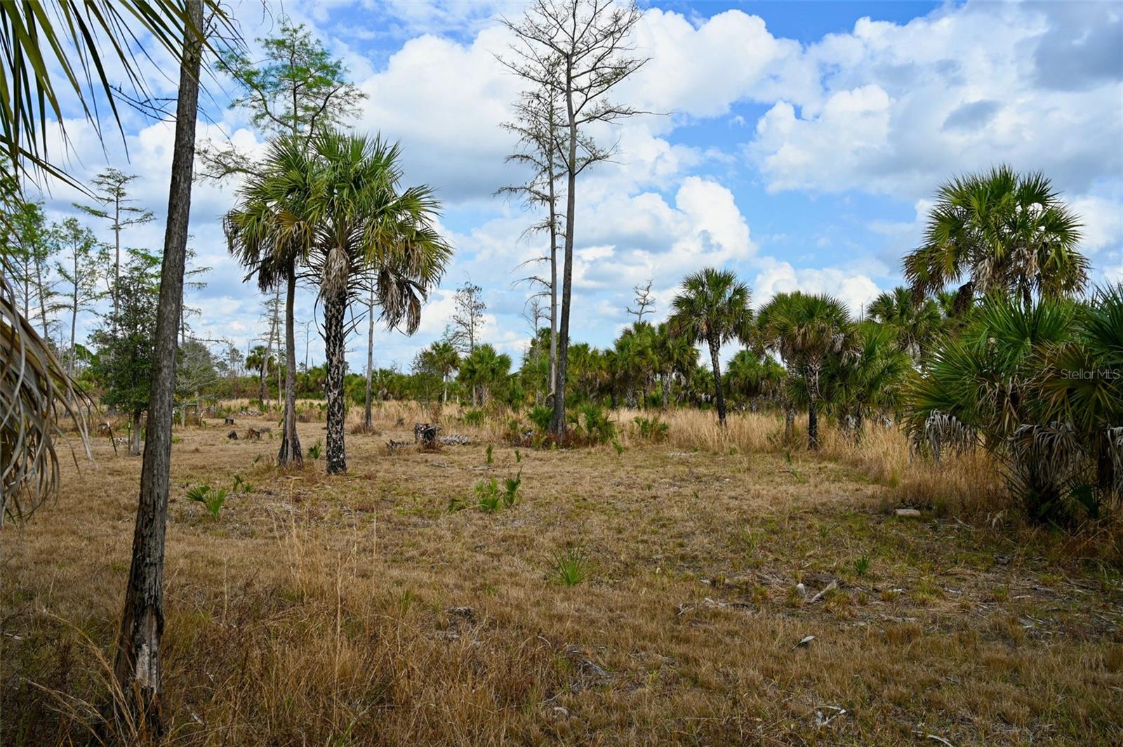 Image 29 of 39 For Black Burn Road