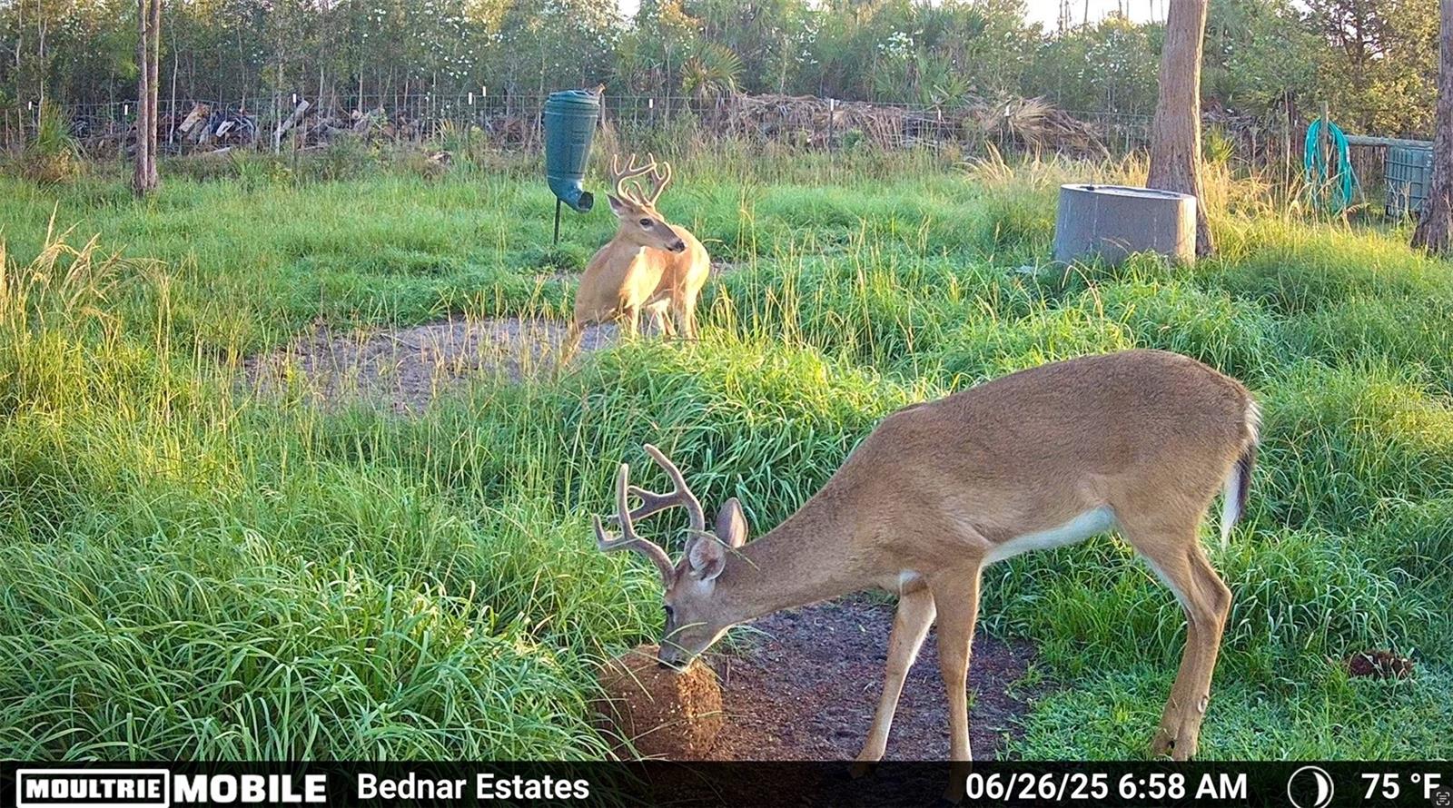 Image 3 of 39 For Black Burn Road