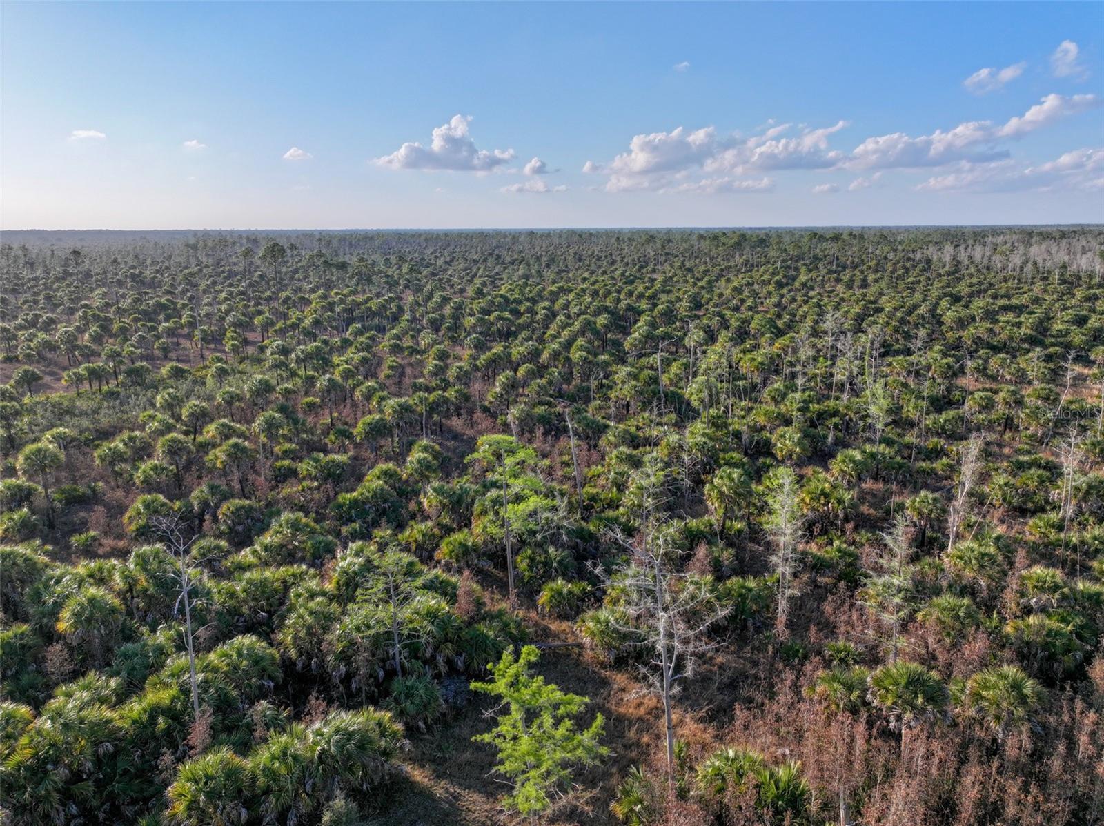 Image 30 of 39 For Black Burn Road