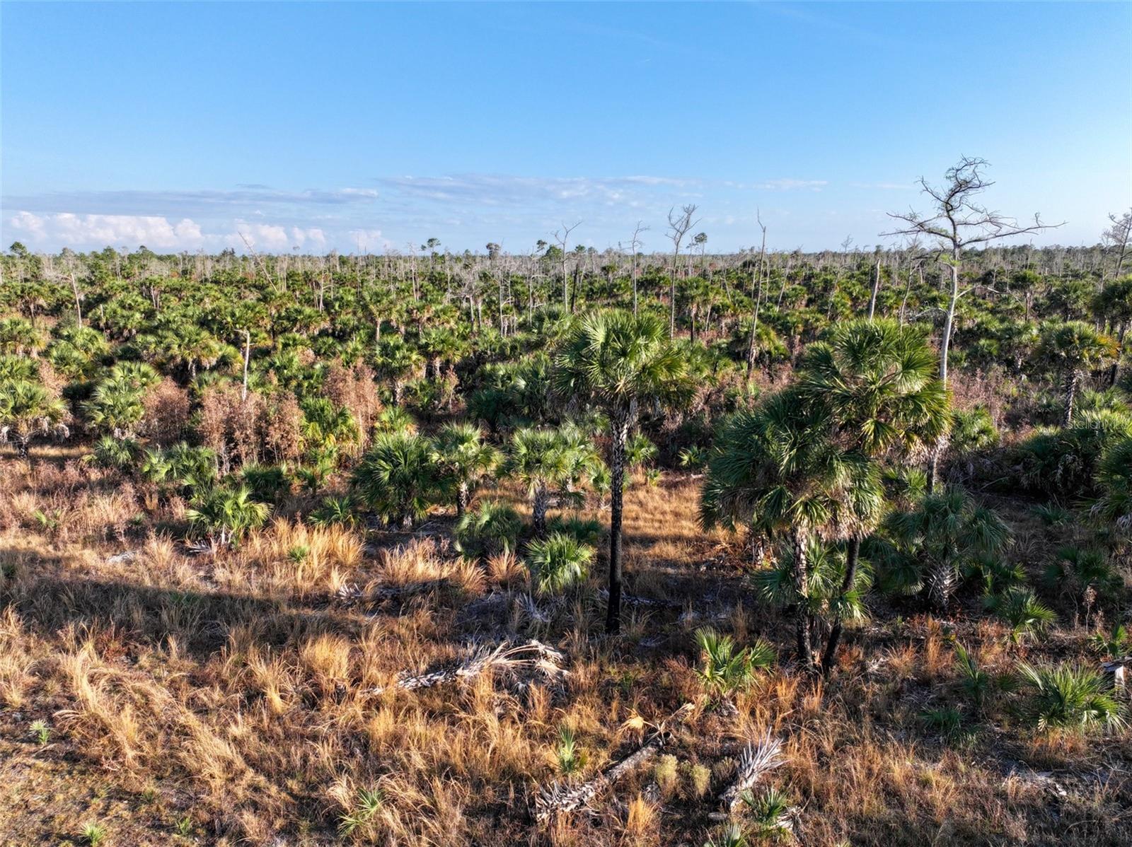 Image 32 of 39 For Black Burn Road