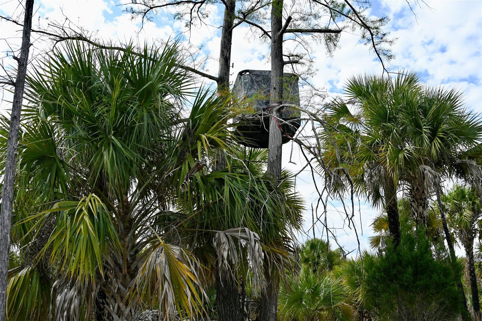 Image 34 of 39 For Black Burn Road