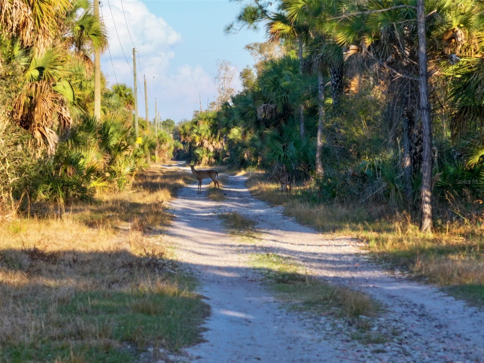 Image 37 of 39 For Black Burn Road