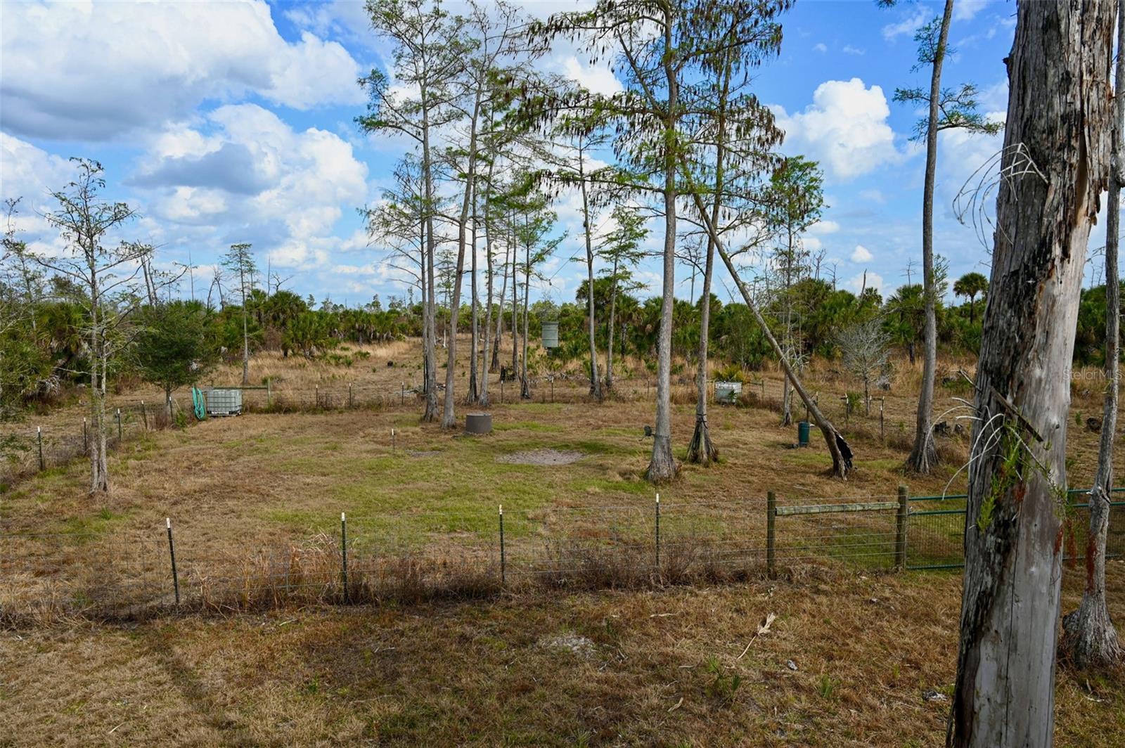 Image 5 of 39 For Black Burn Road