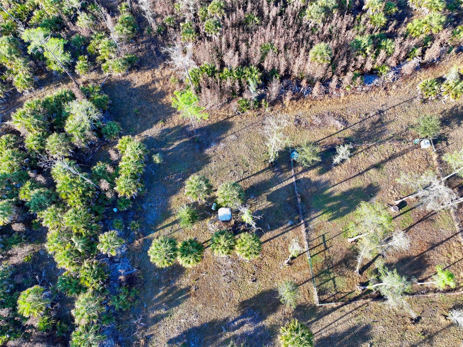 Image 6 of 39 For Black Burn Road