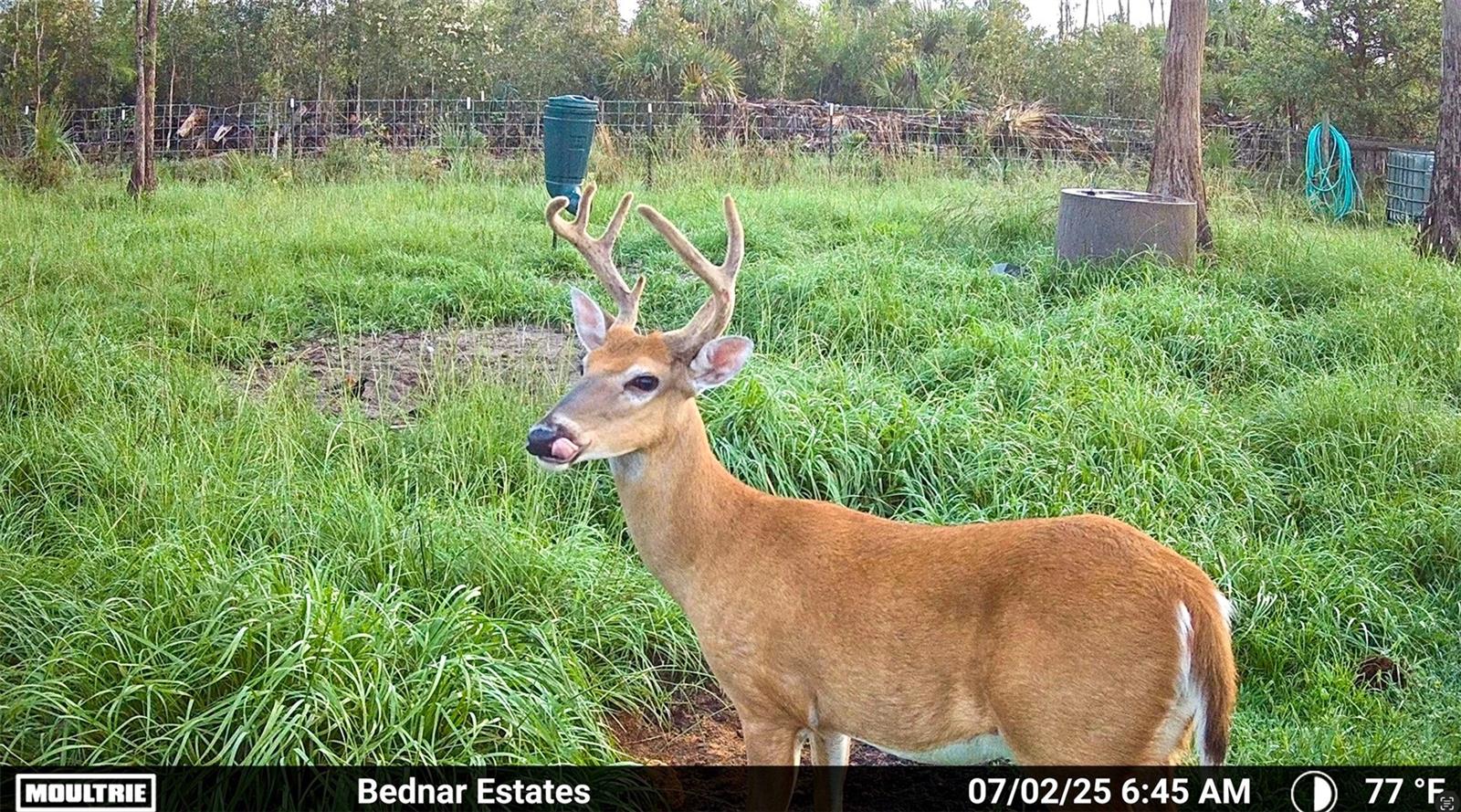 Image 7 of 39 For Black Burn Road