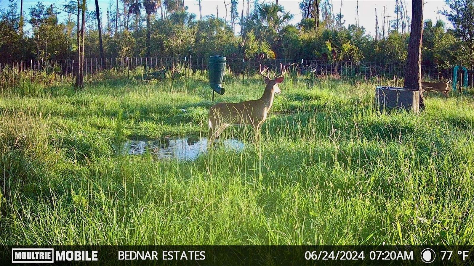 Image 9 of 39 For Black Burn Road