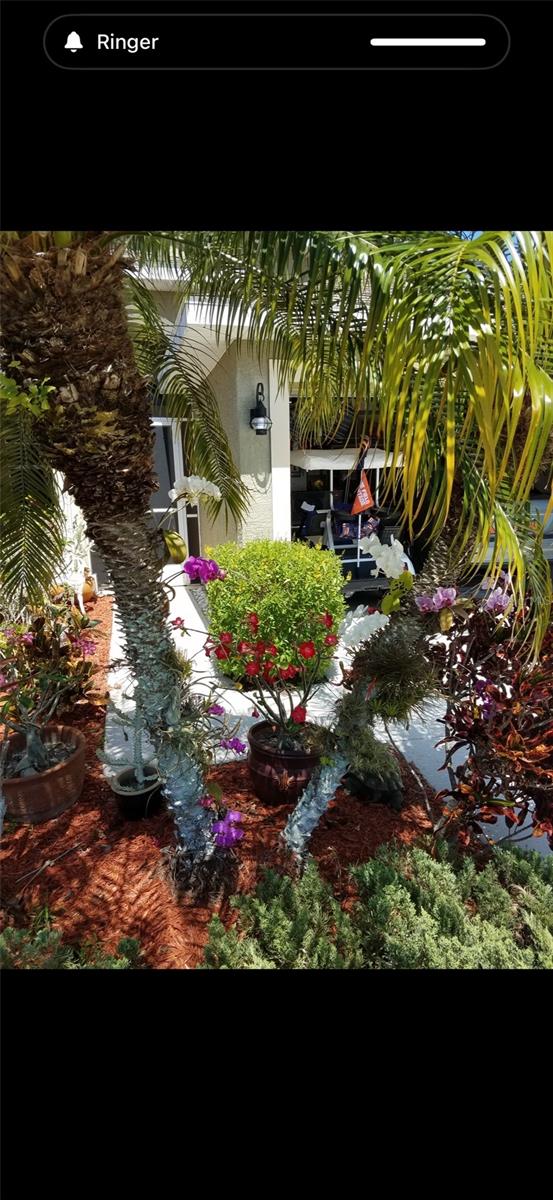 Image 43 of 69 For 1658 Scarlett Avenue