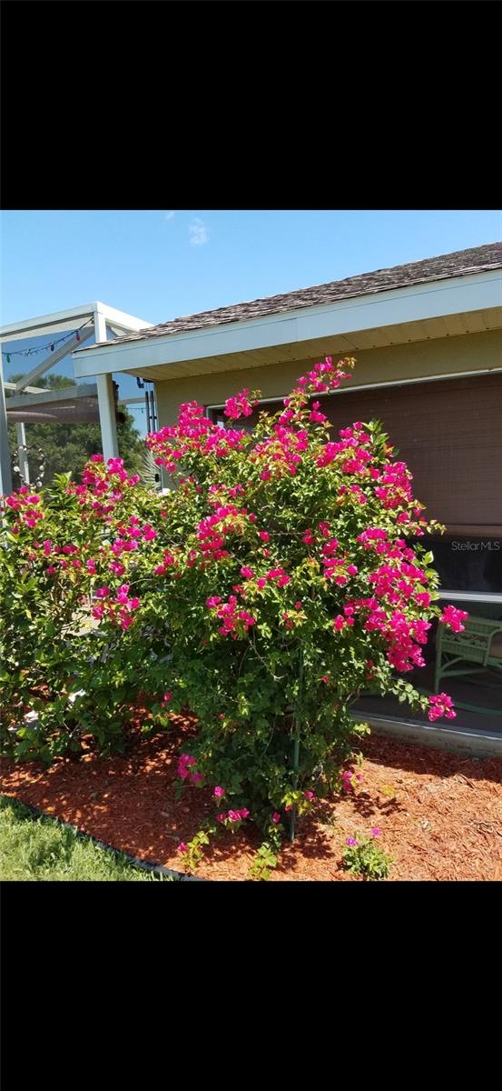 Image 49 of 69 For 1658 Scarlett Avenue