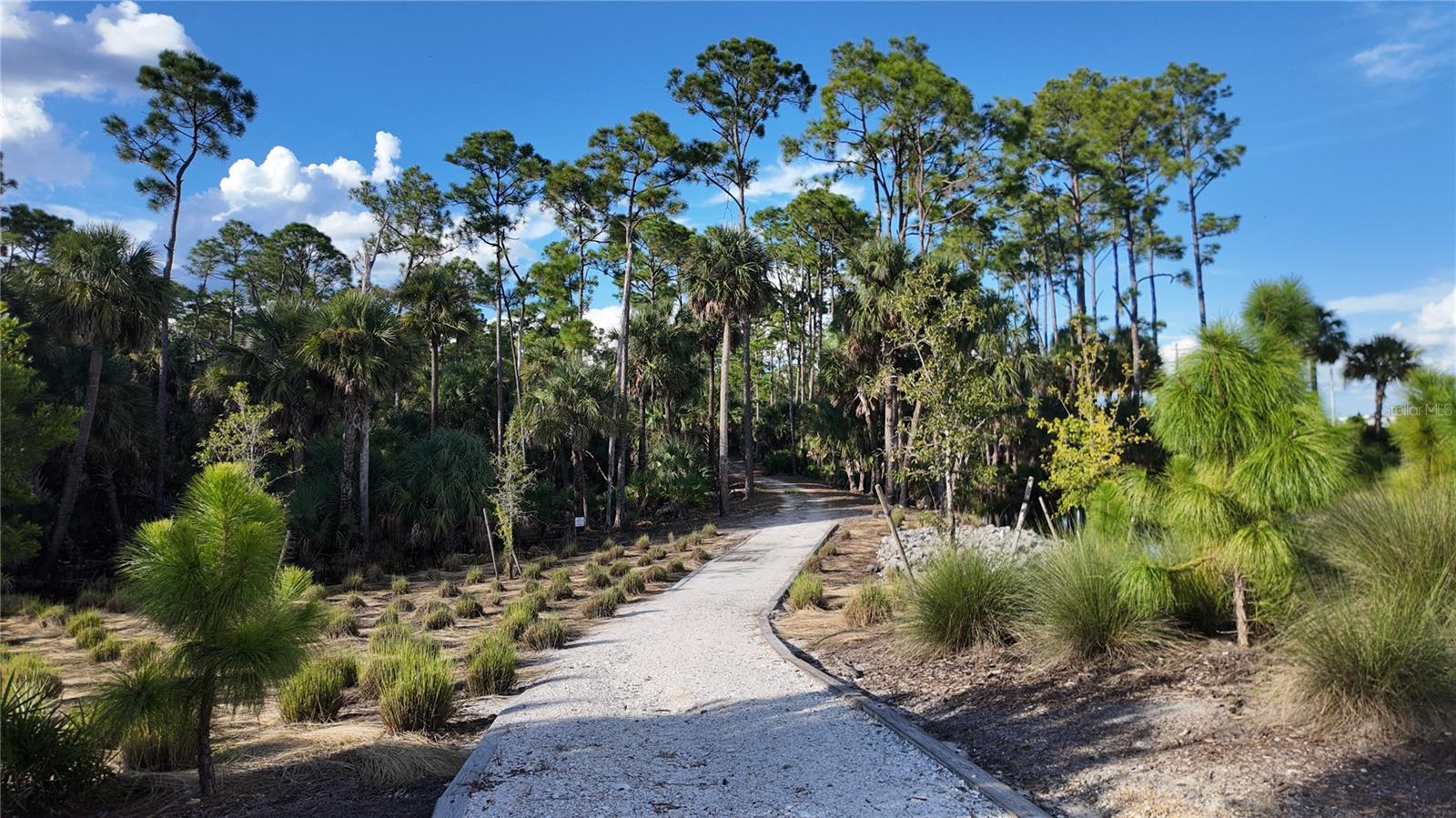 Image 41 of 45 For 15205 Bluffton Lane 1016