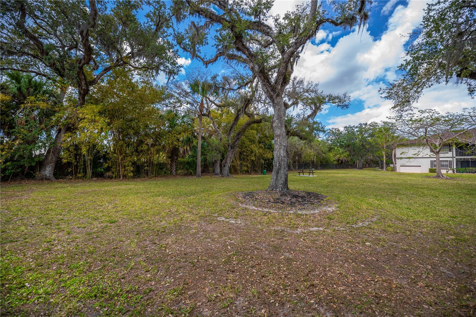 Image 50 of 66 For 19505 Quesada Avenue H101