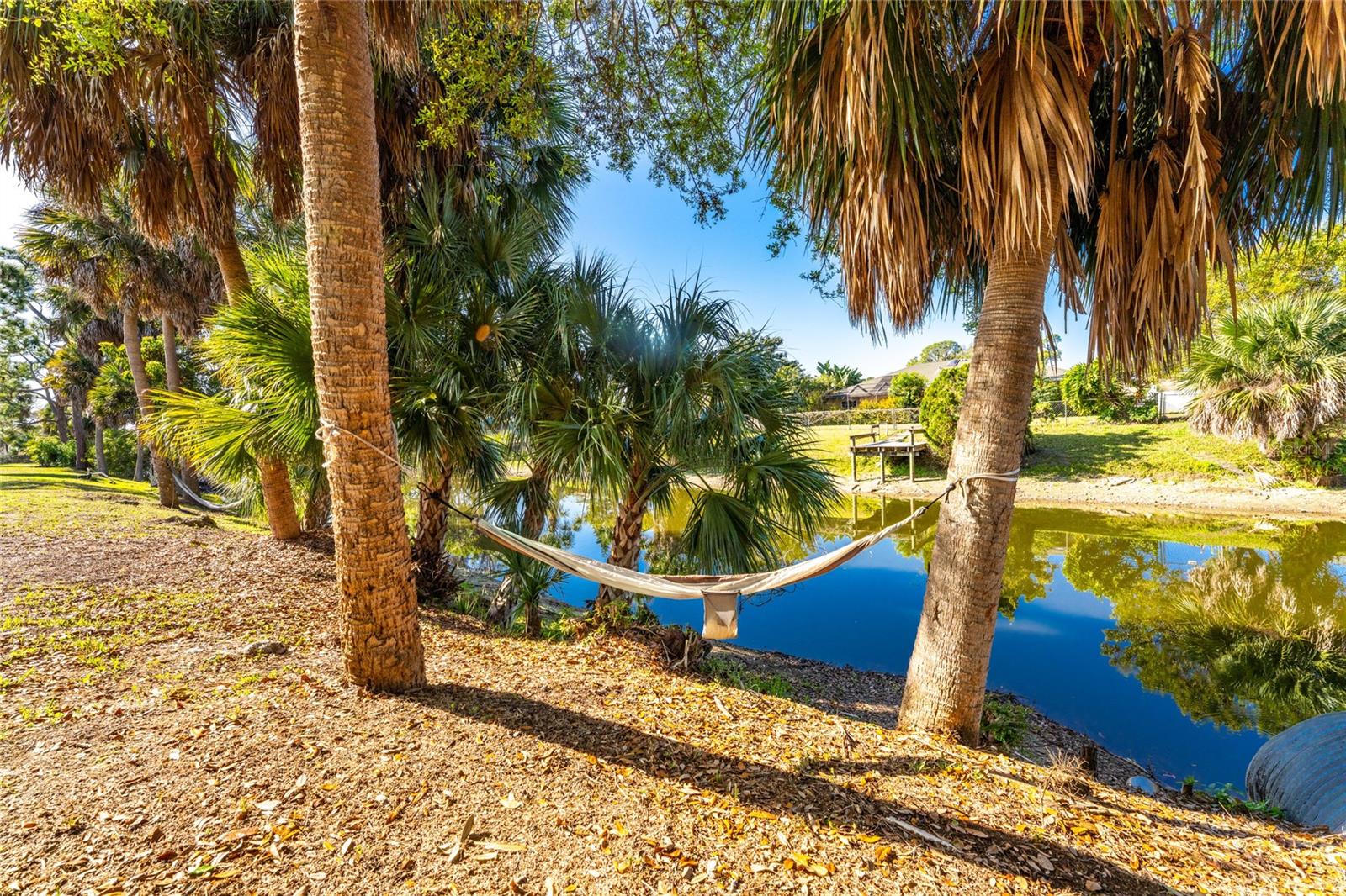 Image 51 of 75 For 1461 Alton Road