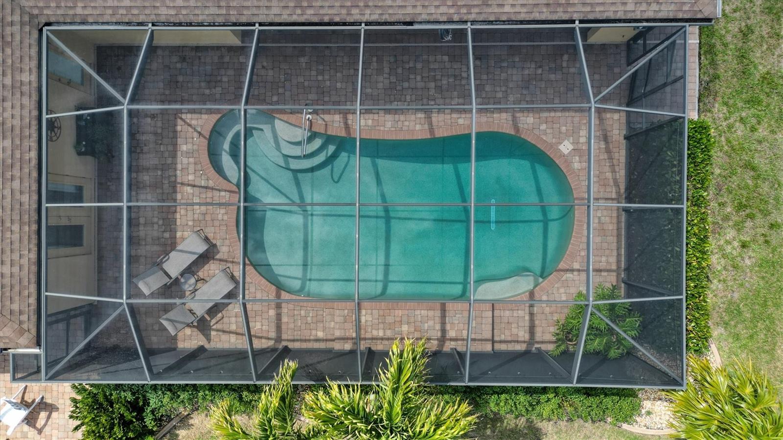 Image 4 of 81 For 558 Royal Poinciana